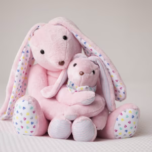 Tweeling zonder naam reserveren (alleen voor ouders)