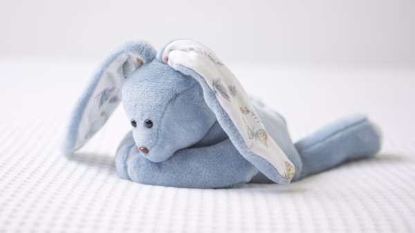 Knuffels verzonden