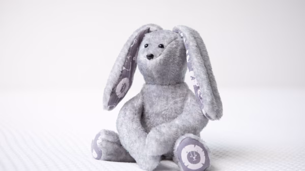 Dieren voor Jack