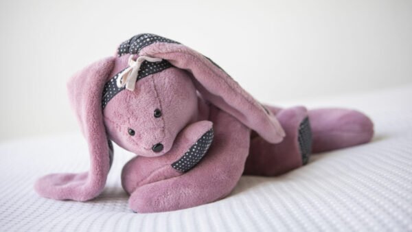 Knuffels bijna naar ouders