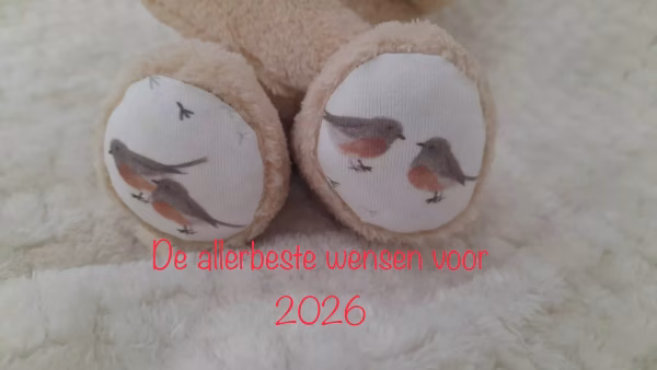 Een nieuw jaar